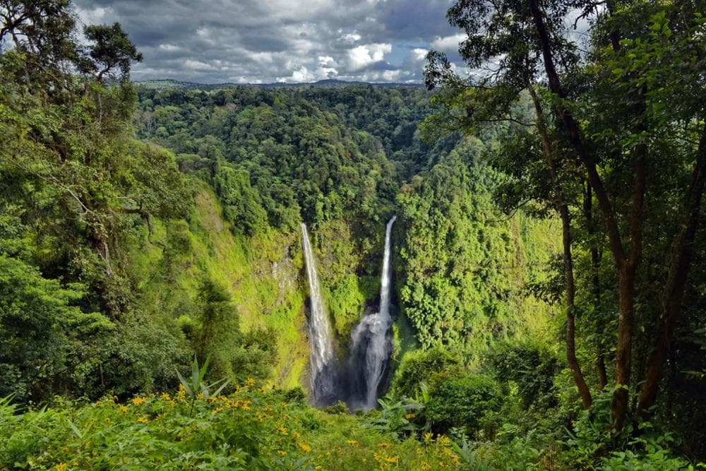 Jour 7