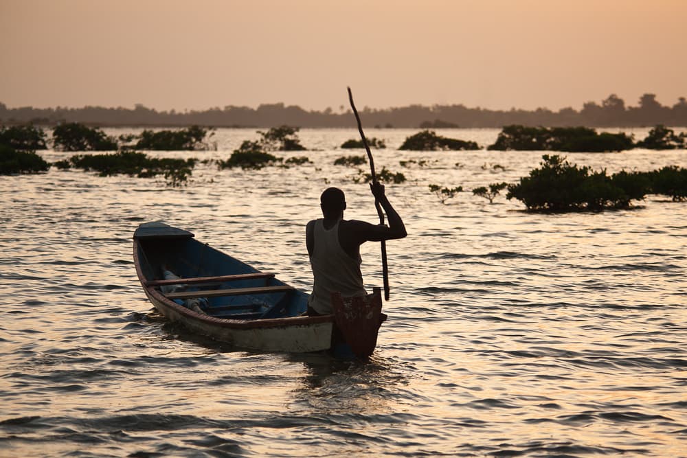 Delta Du Saloum